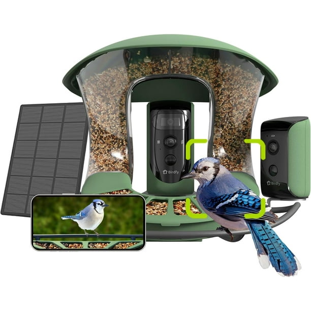 Birdfy Smart Bird Feeder with Camera, Solar-Powered, Free AI Identify 6000+ Bird Species