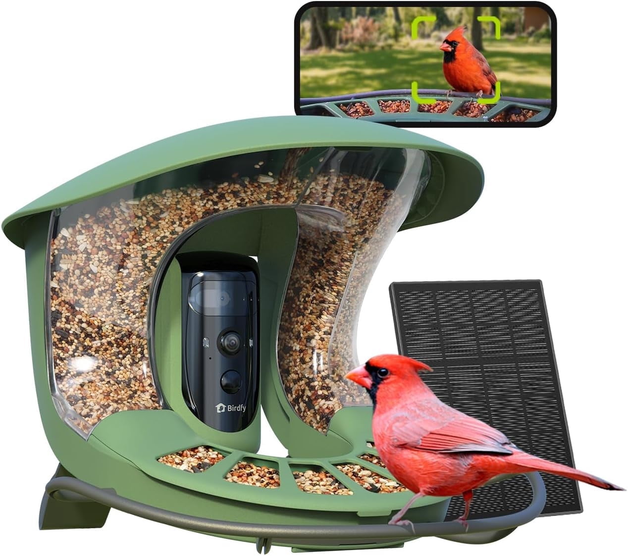 Birdfy Smart Bird Feeder with Camera, Dual-Lens, Solar-Powered, Auto ...