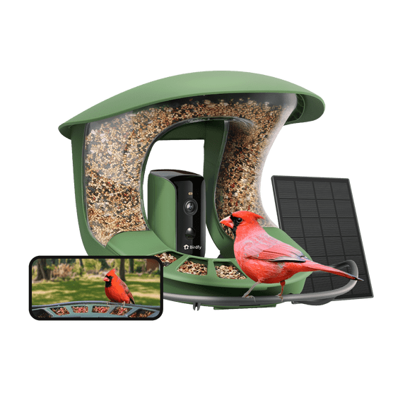 Birdfy Smart Bird Feeder with Camera, Solar-Powered, Auto-Capture Bird Videos & Motion Detection, AI Identification with 99% Accuracy, Perfect Gift for Bird Lovers