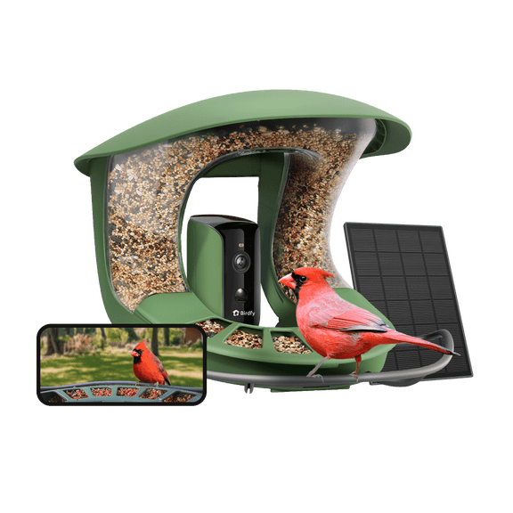Birdfy Smart Bird Feeder with Camera, Solar-Powered, Auto-Capture Bird Videos & Motion Detection, AI Identification with 99% Accuracy, Perfect Gift for Bird Lovers