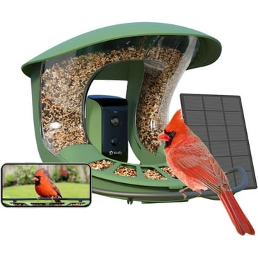 Birdfy Smart Bird Feeder with Camera, Solar-Powered, Auto-Capture Bird Videos & Motion Detection, AI Identify 6000+ Bird Species, Perfect Gift for Bird Lovers