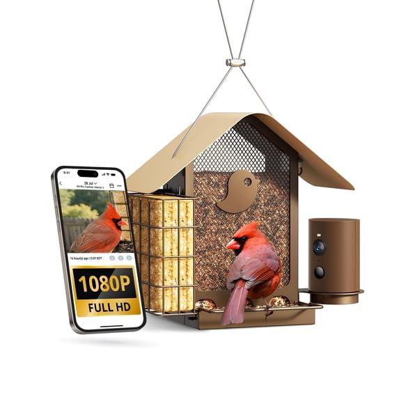 Birdfy Smart Bird Feeder with Camera, 1080P HD, 60FPS Video, AI Bird Identification, Night Vision, Cloud Storage, Suet Holder, Gift for Bird Lovers, Metal V