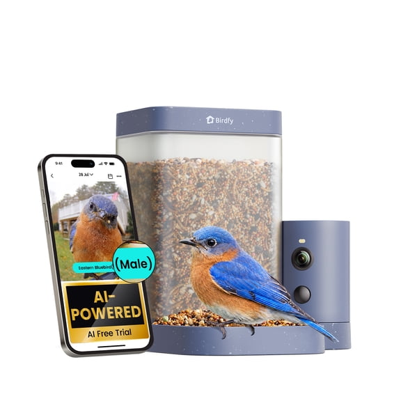 Birdfy Smart Bird Feeder with Camera, 60FPS Smooth Video, AI Bird Identification & Instant Alerts, Auto Capture, Perfect Gift for Bird Lovers