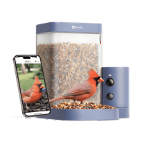 Birdfy Smart Bird Feeder with Camera, 60FPS Smooth Video, AI Bird Identification & Instant Alerts, Auto Capture, Perfect Gift for Bird Lovers