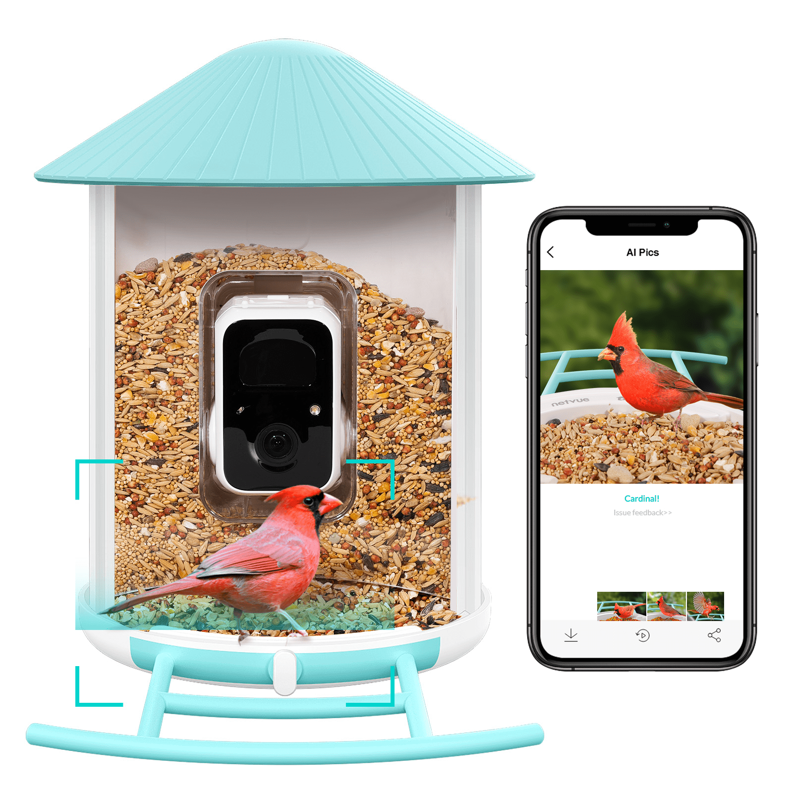 Smart Bird Feeder with Camera, Netvue Birdfy Feeder Camera Free AI