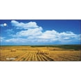 thumbnail image 1 of Smart Blonde KC-3393 Hay Harvest Novelty Key Chain, 1 of 1