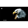thumbnail image 1 of Smart Blonde KC-3744 Eagle Head OffSet Novelty Key Chain, 1 of 1