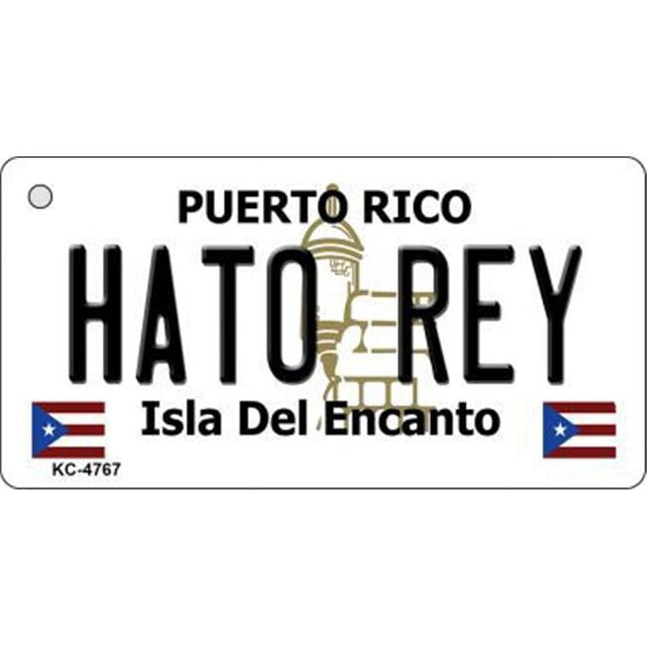 Smart Blonde KC4767 Hato Rey Puerto Rico Flag Novelty Key Chain