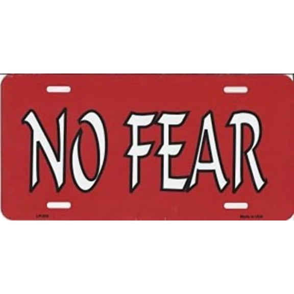Smart Blonde No Fear License Plate, Decorative Front Plate, Car Decor