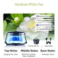 thumbnail image 1 of Smart Car Air Freshener Diffuser | Automatic Sensing Mist | 15ml Rechargeable | PA46 Durable Material | 5 Ambient LED Colors | Adjustable Aroma Spray | Water-Free Atomization | Natural Ingredients, 1 of 5