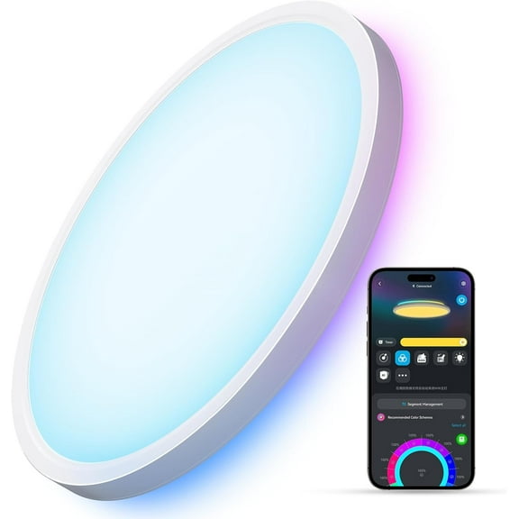 Smart Ceiling Light, RGBIC LED Ceiling Light Fixture, 2400LM Flush Mount Light Fixture, DIY Colors, Works with Matter Alexa, 2700K-6500K Lights for Bedroom, Living Room,12 Inch, 1 Pack (White)