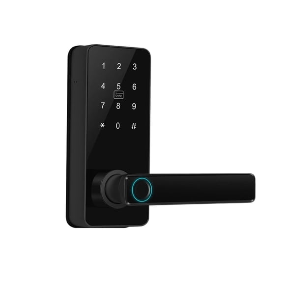 Smart Door Lock Digital Electronic Lock with Code Passcode, Electric Door Knob, Biometric Handle, Bedroom Doors