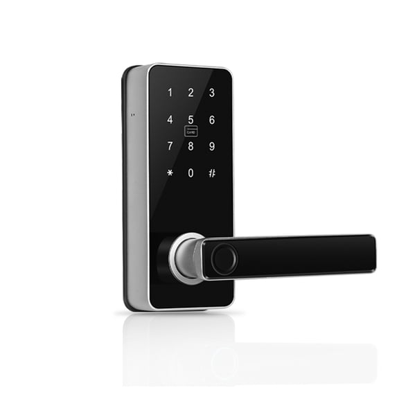 Smart Door Lock Digital Electronic Lock with Code Passcode, Electric Door Knob, Biometric Handle,  Bedroom Doors