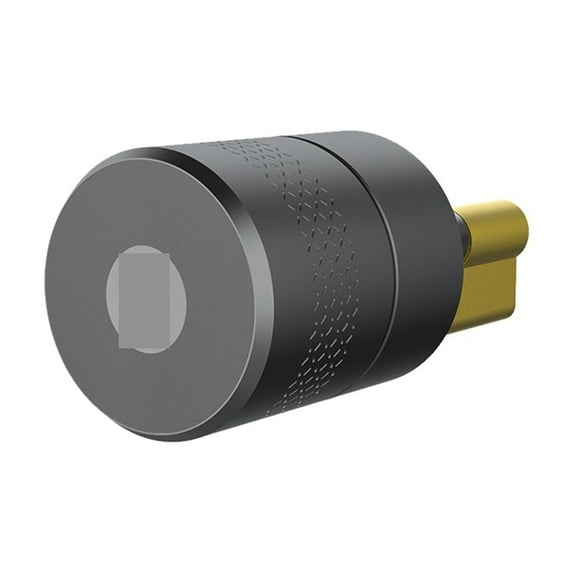 Smart Door Lock Motor TUYA Smart Lock Finrprint Lock Electronic Lock ...