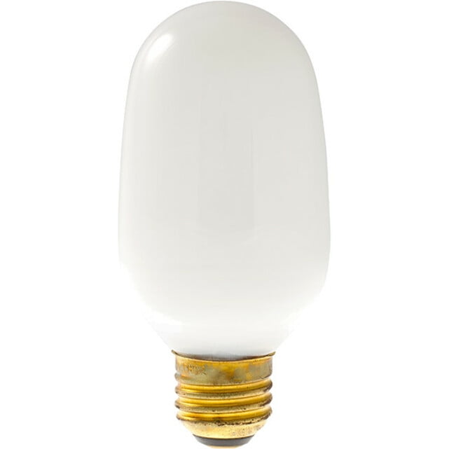 Smart Electric 4Level Dimmer Smart Bulb