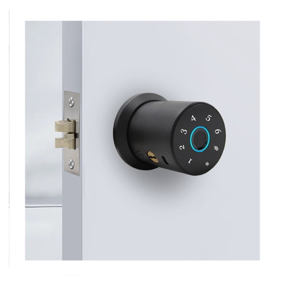 Smart Fingerprint Digit Round Knob Black C-level Security Key Electronic Door Lock APP To Unlock ,Digital Lock