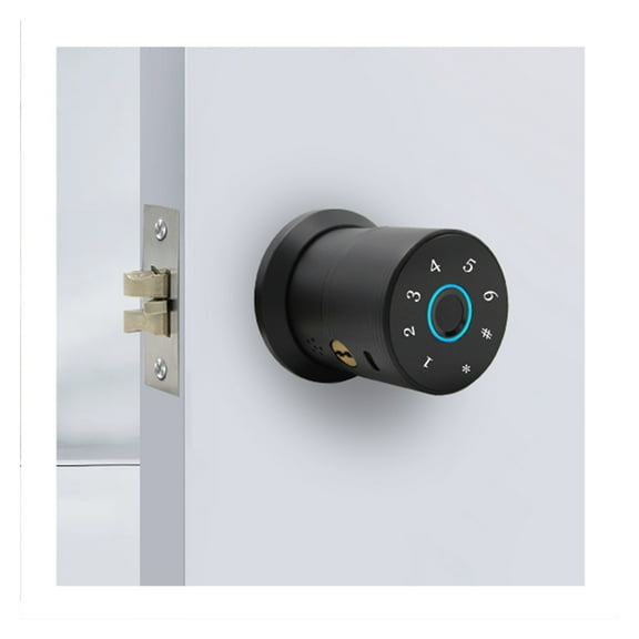 Smart Fingerprint Digit Round Knob Black C-level Security Key Electronic Door Lock APP To Unlock ,Security Locking