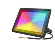 Smart Floodlight LED Reflector Outdoor Lighting 30W 50W 100W RGB Dimmable Warm Cold White Light Support
