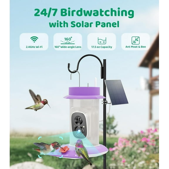 Smart Hummingbird Feeder with Camera Solar Powered, with Ant Moat & Bee Proof AI Bird Recognition, Easy Clean & Refill, with Coolfly Birdwatching APP, Ideal Gifts for Hummingbird Lover ()