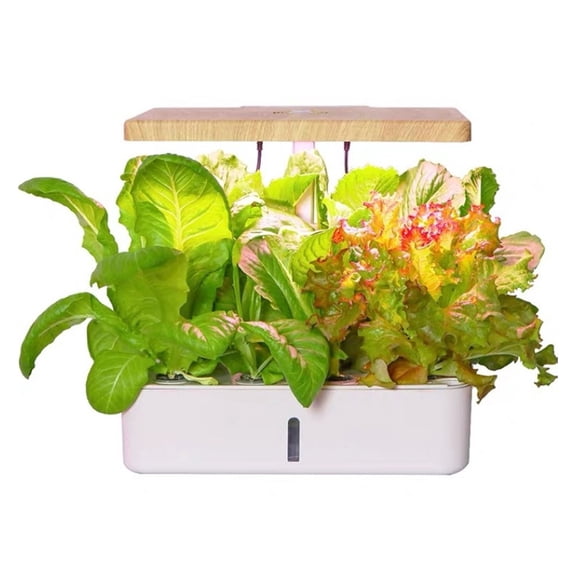 Smart Indoor Garden Kit, Hydroponic Planter for Flowers & Veggies