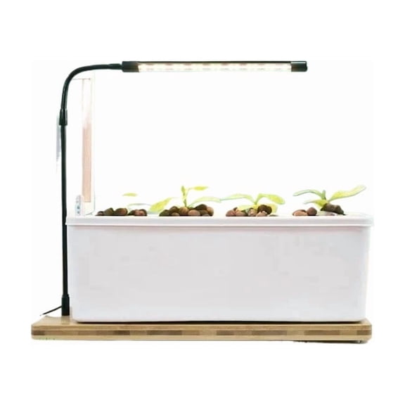 Smart Indoor Garden Kit, Intelligent Hydroponic Planter for Veggies