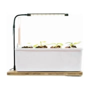 Smart Indoor Garden Kit, Intelligent Hydroponic Planter for Veggies