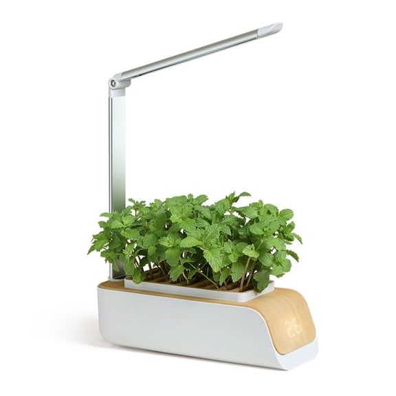 Smart Indoor Hydroponic Garden with Biomimetic LED Grow Light, Adjustable Kit