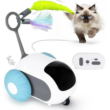 Interactive Cat Toy,Cat Toys for Indoor Cats with 2-Speed Adjustment, Remote Control & USB Rechargeable Automatic Cat Exercise Toys for Bored Indoor Adult Cats Kittens