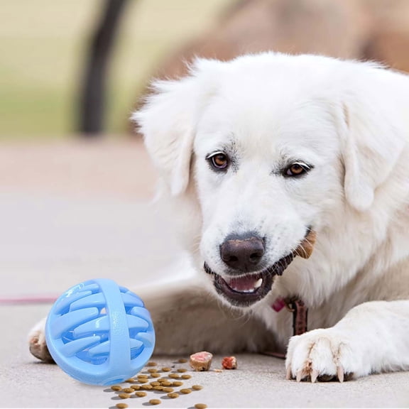 Smart Interactive Dog Toy for Dogs Food Puzzle Stimulates Mind and Teething Training Indoor Outdoor Play, 8cm, Blue