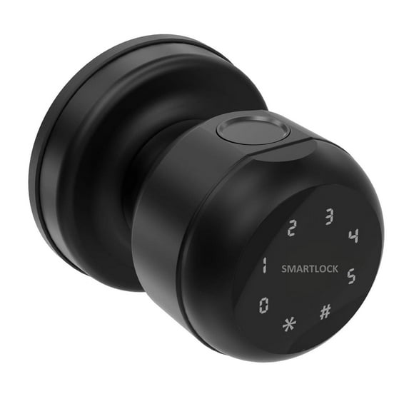Smart Keypad Door Lock with Handle, Fingerprint Door knobs with Lock, Auto Door Lock with Code and App, Keyless Biometric Door Knob for Bedroom, Front Door, Smart Home, Apartment(black)