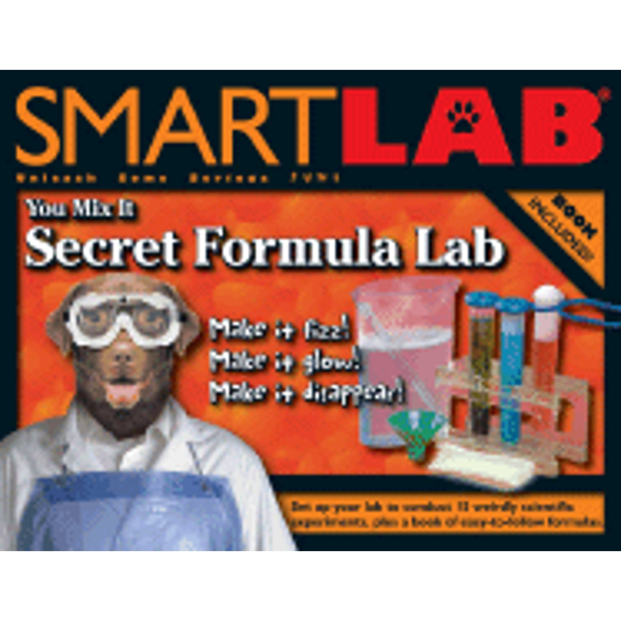 Smart Lab Toys Secret Formula Lab