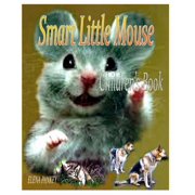 Smart Little Mouse. Childrens book, Paperback