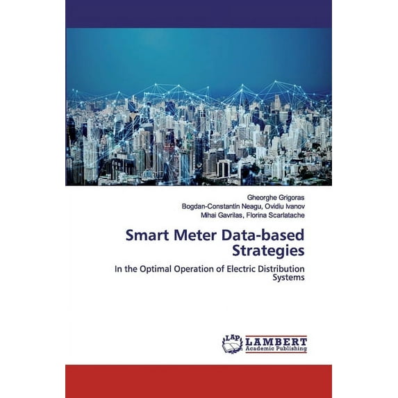 Smart Meter Data-based Strategies (Paperback)