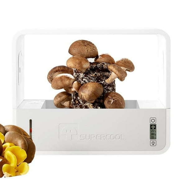 Smart Mushroom Growing Kit with Auto Light & Humidity Control, Waterproof Grow Box for Indoor Garden, Kitchen Gift Idea