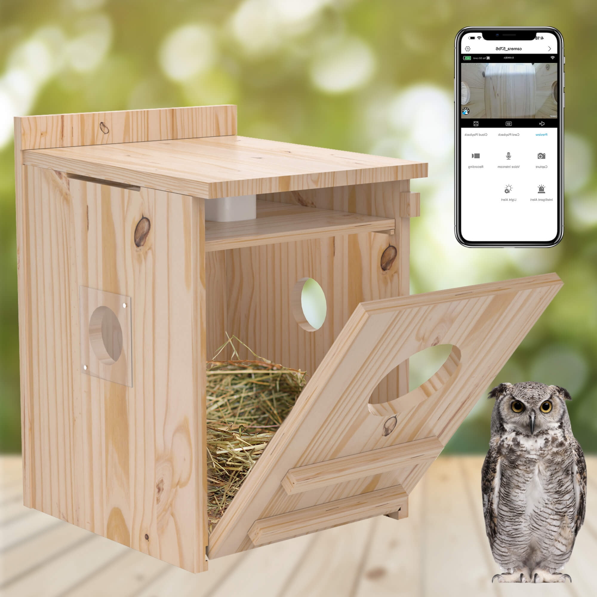 How to Hang an Owl House: Expert Tips for Perfect Placement