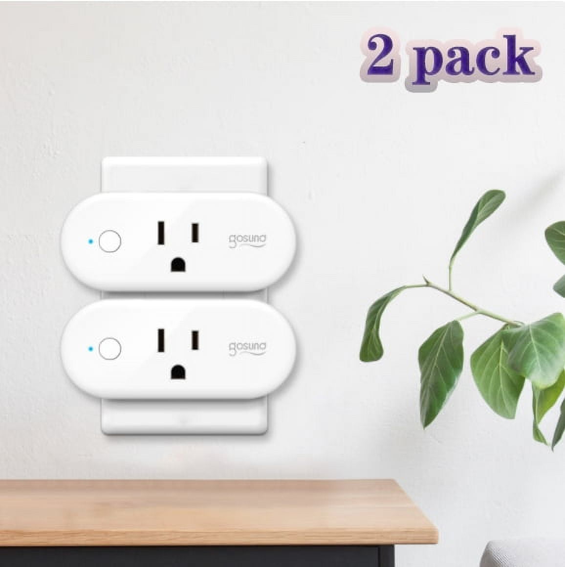 Smart Plug, 2.4 GHz WiFi Outlet Extender Protector Dual Smart Socket