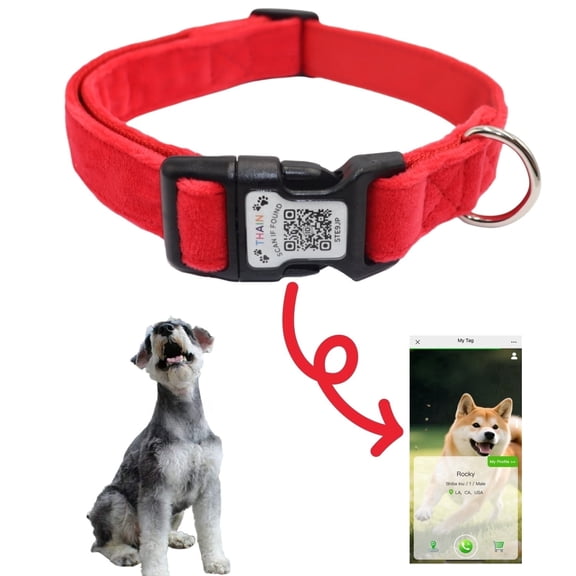 Smart QR Code Dog Collar-Nylon & Velvet Pet Collar with Unique ID Registration, Adjustable Plastic Buckle for Small Dogs (Red, S)