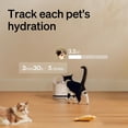 thumbnail image 1 of Smart RFID Cat Water Fountain 3L Stainless Steel with App Control for Multi-Pet Hydration Tracking, 1 of 7