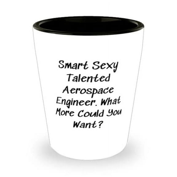 Smart Sexy Talented Aerospace Engineer. What More Shot Glass, Aerospace engineer Ceramic Cup, Inspirational Gifts For Aerospace engineer