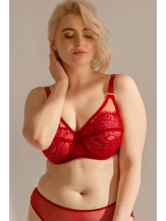 Women's Plus Size Retro Lace & Mesh Unlined Underwire Bra
