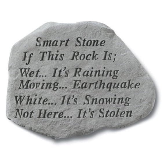 Smart Stone If This Rock is Wet It's Raining