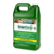 Dumond Chemicals Dumond Smart Strip Advanced Paint Remover