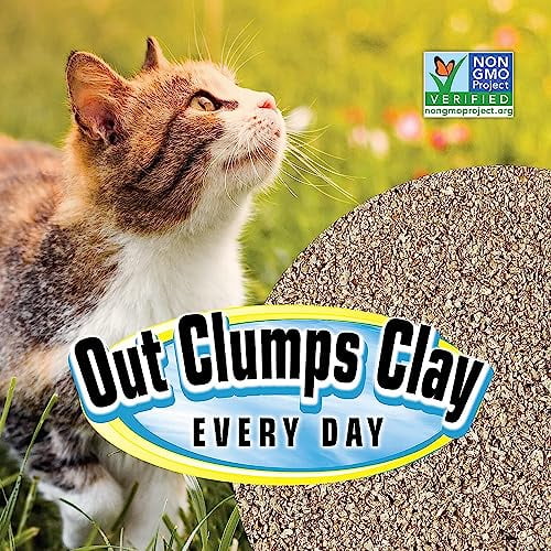 SmartCat All Natural Clumping Cat Litter, 10 Pound (160oz 1 Pack) - Alternative to Clay and Pellet Litter - Chemical and 99% Dust Free - Unscented and Lightweight