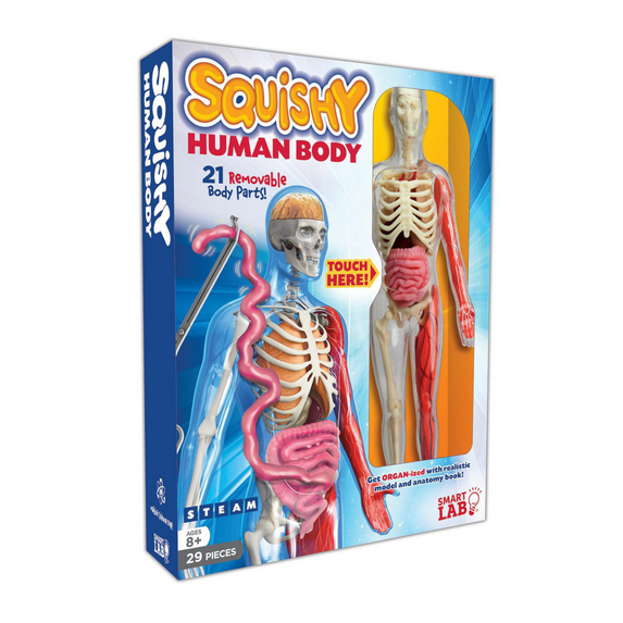 SmartLab - Squishy Human Body