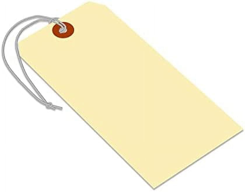Label Tags with Wire Attached - 4 3/4 x 2 3/8 Box of 100 Blank Tags with  Reinforced Hole and Metal Wire Ties, Labels with Wire