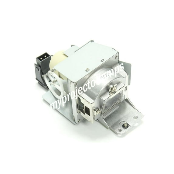 Smartboard V25 Projector Lamp with Module