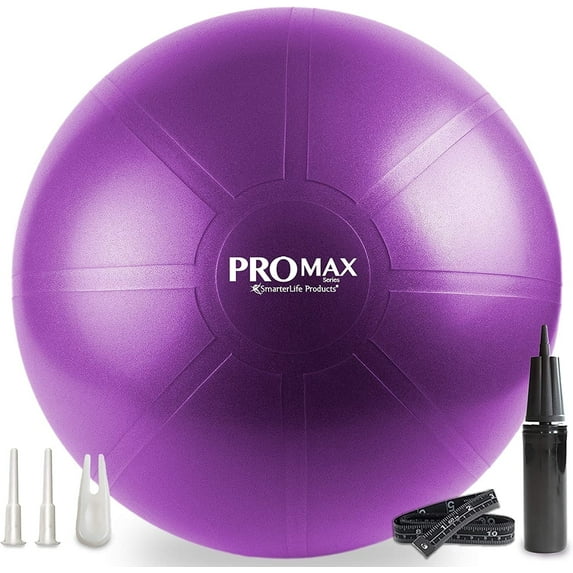 SmarterLife PRO MAX Series Exercise Yoga Ball Workout Equipment Pregnancy Medicine Balls, 65cm Purple