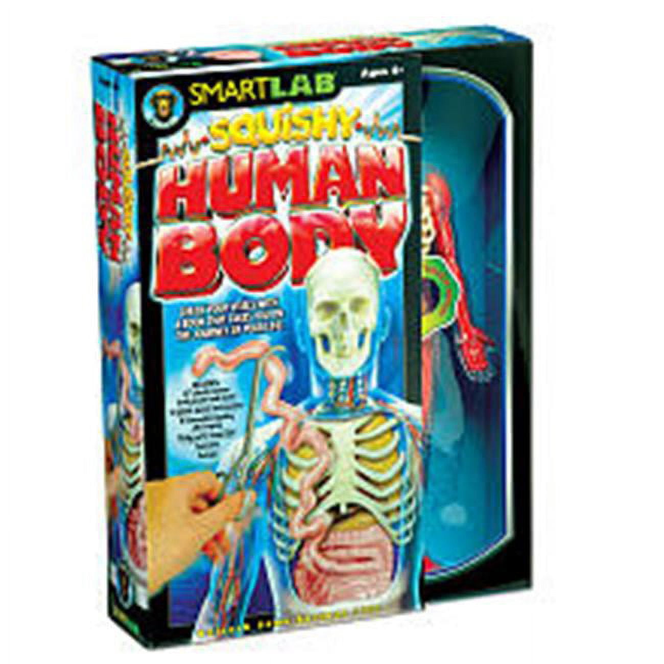 Smartlab Body Smartlab Toys Smartlab Toys Squishy Human Body - Walmart.com