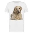 thumbnail image 1 of Smartprints Mens Graphic Tee - 7 Year Old Golden Retriever - Regular Fit 100% Cotton, 1 of 2