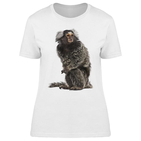 Smartprints Womens Graphic Tee - Common Marmoset, Posing - Regular Fit 100% Cotton